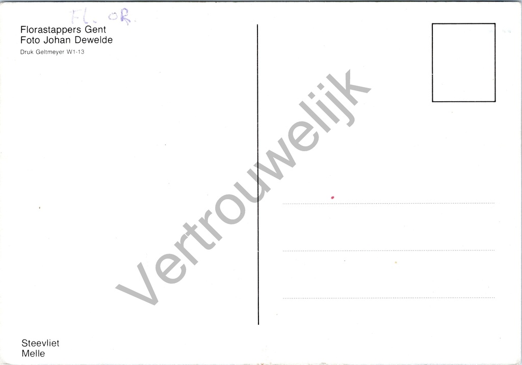 Melle - "Steevliet" - Kasteel Steevliet met vijver