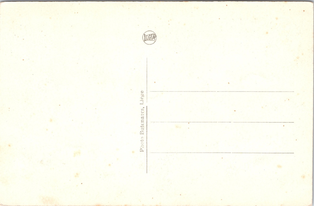 Rochefort - "Rochefort. Panorama" - Panoramisch stadsgezicht met kerken en heuvels – achterzijde van de originele postkaart