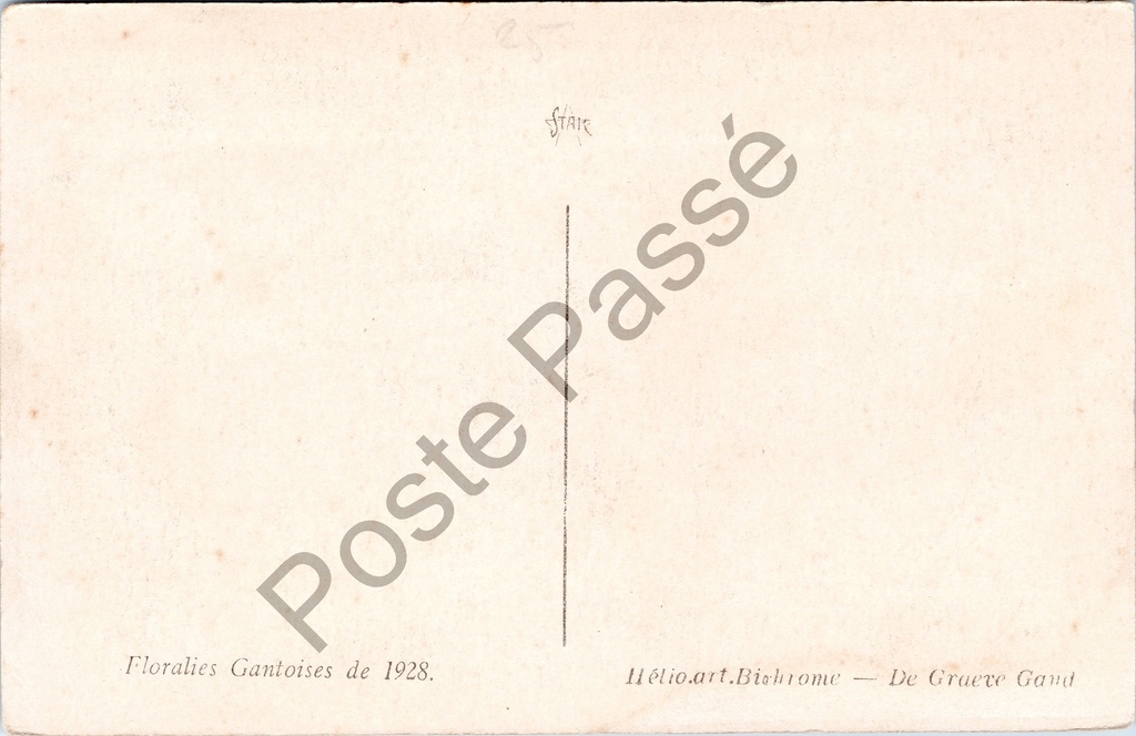 Gent - "Floralies Gantoises de 1928" - Cactusverzameling op de Gentse Floraliën 1928 – originele postkaart, afbeelding 3