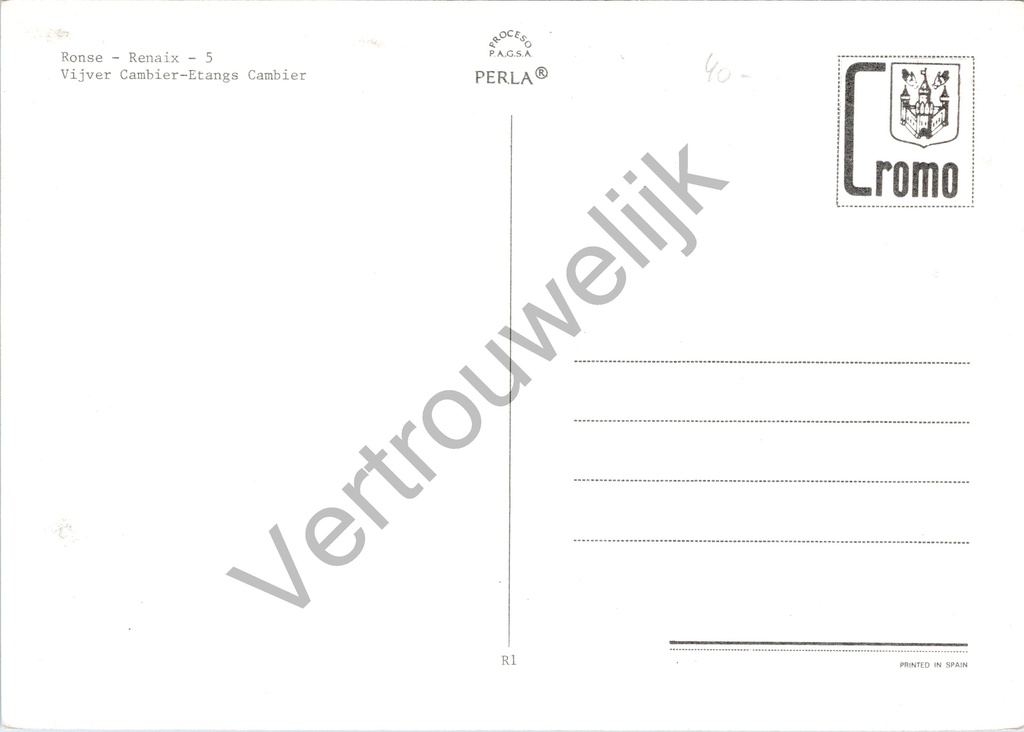 Ronse - "Vijver Cambier - Etangs Cambier" - Zicht op de Cambier-vijvers met brug – achterzijde van de originele postkaart
