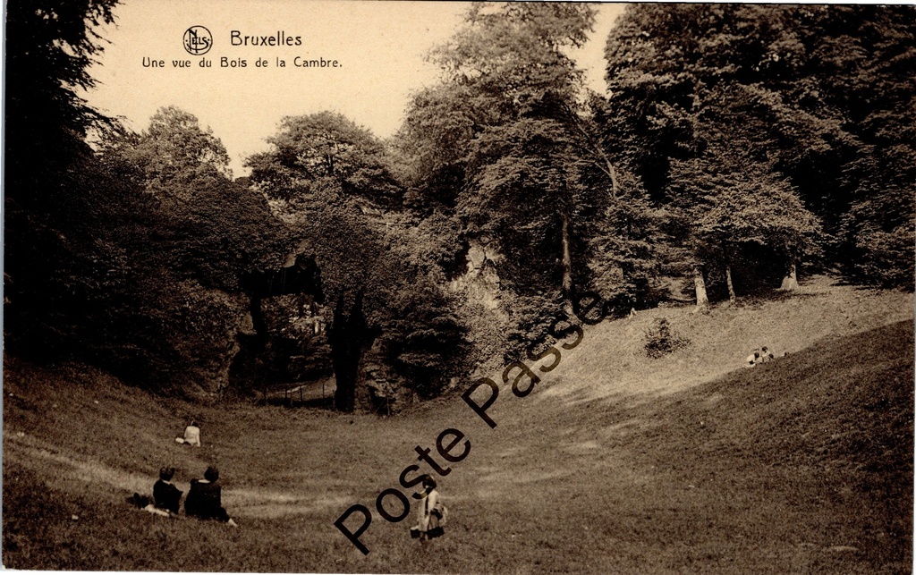 Bruxelles - "Une vue du Bois de la Cambre" - Vue du Bois de la Cambre