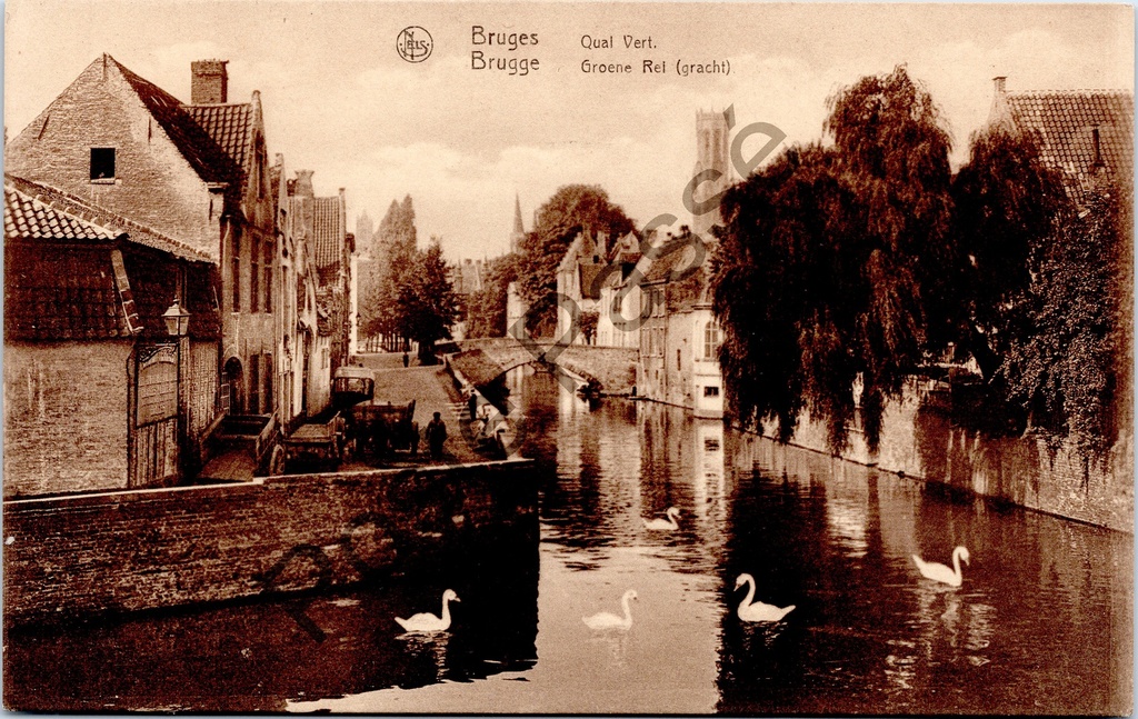 [Brugge0042] Bruges - "Quai Vert. Groene Rei (canal)" - Vue du Groene Rei avec des cygnes