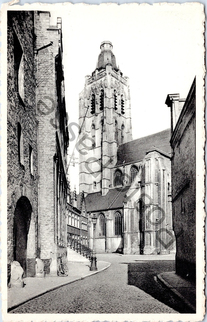 Oudenaarde - "De Sinte-Walburgakerk" - Zicht op de Sinte-Walburgakerk