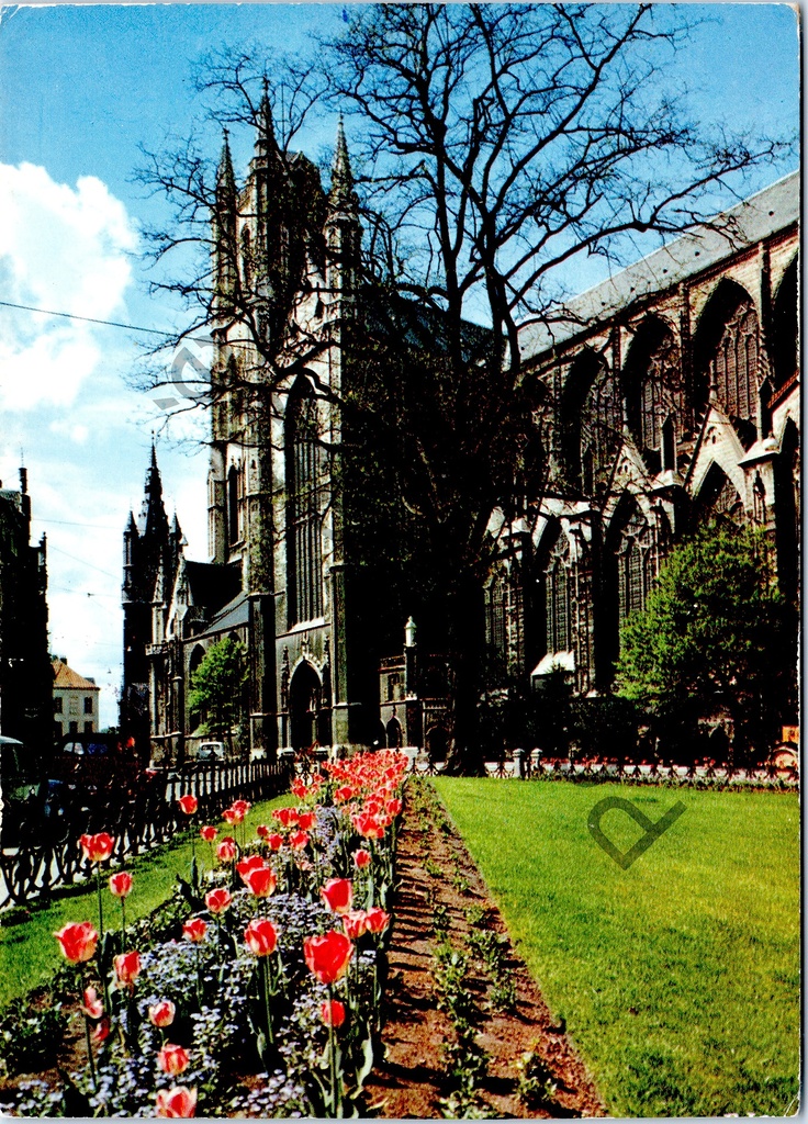 Gand - "St-Baafshoofkerk et Belfort" - Sint-Baafskathedraal et Belfort