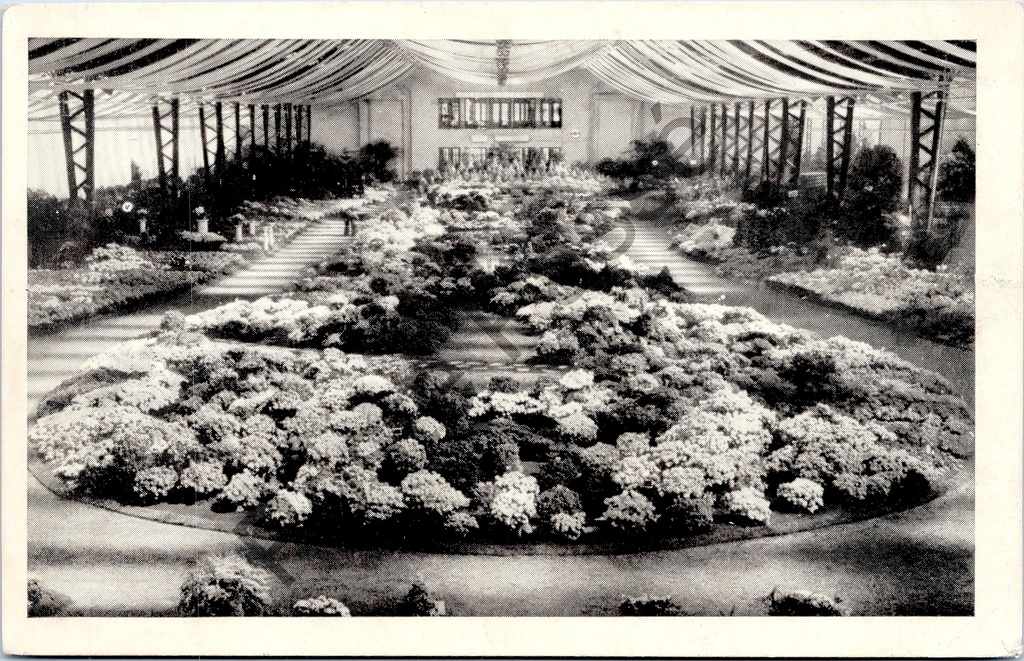[Gent0340] Gand - "Floralies Gantoises - Gent Floralien" - Intérieur de l'exposition florale