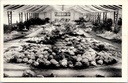Ghent - "Floralies Gantoises - Gent Floralien" - Interior of the flower exhibition