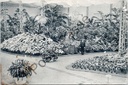 Ghent - "Floralies Gantoises - 26 avril-4 mai" - Floral procession Ghent 1913, tropical plant hall