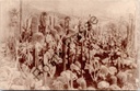 Gand - "Floralies Gantoises de 1928" - Collection de cactus aux Floralies gantoises de 1928