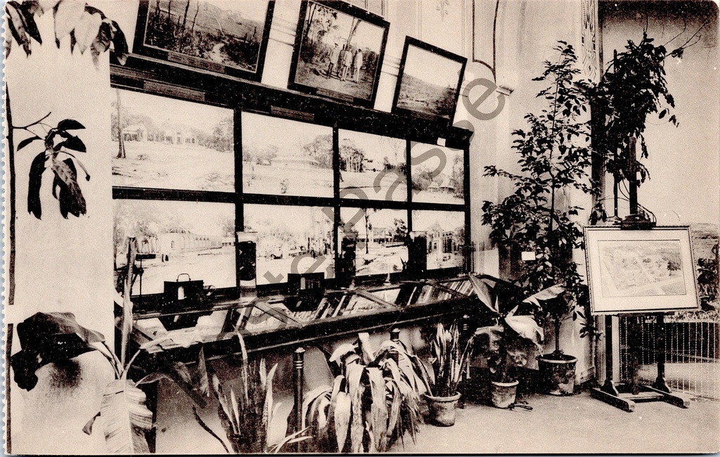 [Gent0382] Gand - "Exposition Universelle de Gand 1913 - Congo belge. Propagande agricole coloniale". - Exposition universelle de 1913, pavillon du Congo belge avec exposition de photos d'Elisabethville (Katanga).