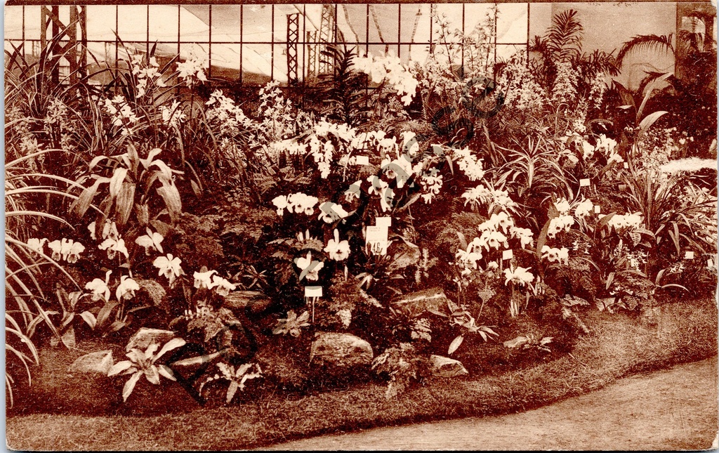 [Gent0394] Gand - "Gentsche Floralïen 1938" - Exposition florale Gand Floralies 1938