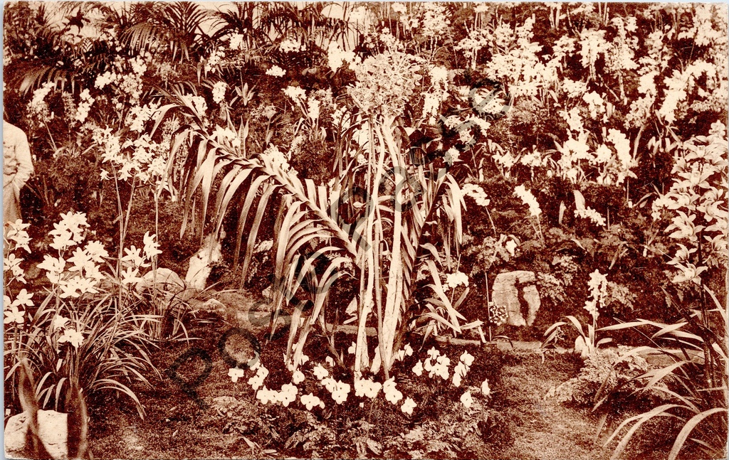 [Gent0414] Gent - "Floralies Gantoises 1938 / Gentsche Floralïen 1938" - Bloemententoonstelling Gentse Floraliën 1938