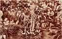 Ghent - "Floralies Gantoises 1938 / Gentsche Floralïen 1938" - Floral exhibition Ghent Floralies 1938