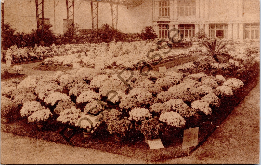 [Gent0494] Gand - "Floralies Gantoises de 1928" - Exposition de fleurs au Casino Royal