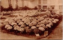 Ghent - "Floralies Gantoises de 1928" - Floral exhibition at the Royal Casino