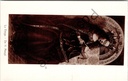 Ghent - "La Vierge. - The Blessed Virgin." - The Blessed Virgin, detail from Van Eyck's Lamb of God