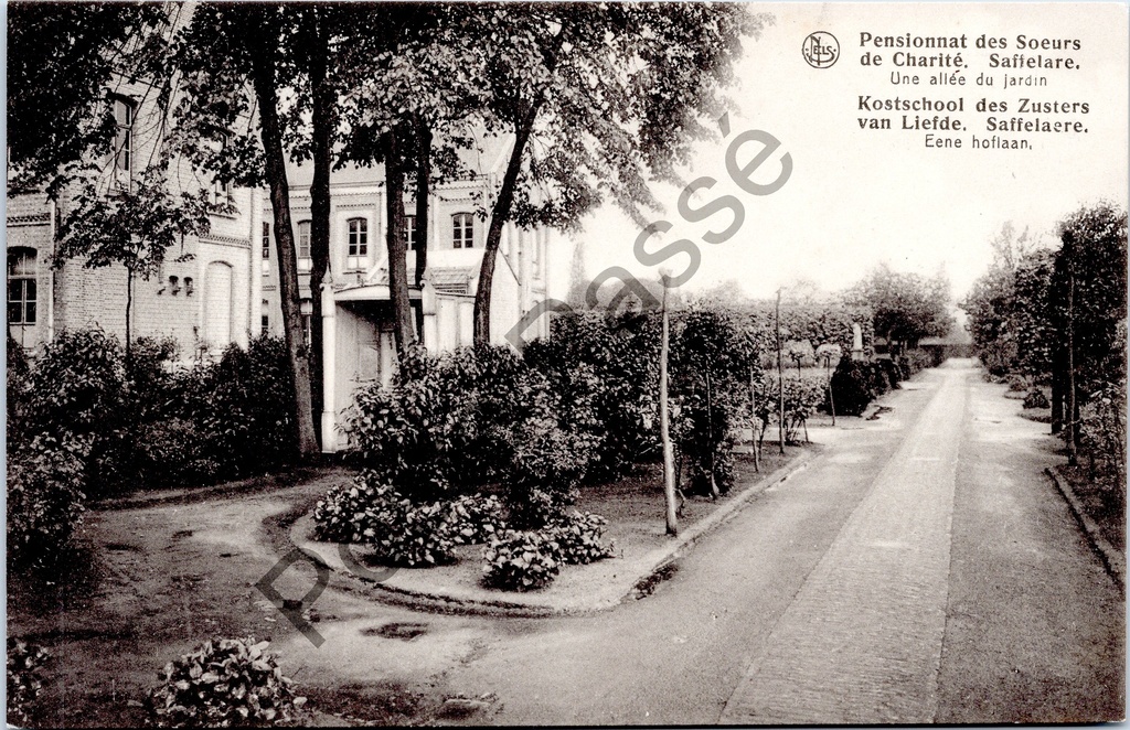[Lochristi0102] Saffelaere - "Kostschool des Zusters van Liefde. Saffelaere. Eene hoflaan." - Tuinlaan van het pensionaat der Zusters van Liefde