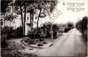 Saffelaere - "Kostschool des Sisters van Liefde. Saffelaere. A court avenue." - Garden avenue of the boarding school of the Sisters of Charity