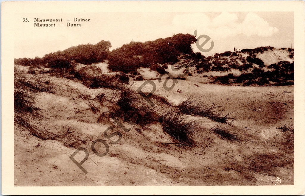 [nieuwpoort0218] Nieuwpoort - "Nieuwpoort — Duinen / Nieuport. — Dunes" - Zandduinen aan de Belgische kust