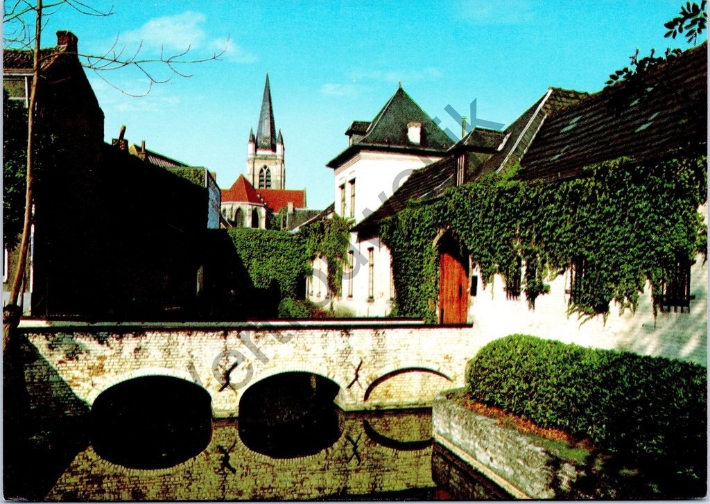 [Ronse0190] Ronse - "Vijver Cambier - Etangs Cambier" - Vue des étangs de Cambier avec le pont et l'église
