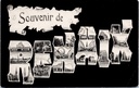 Ronse - "Souvenir de Renaix" - Carte souvenir Multizicht