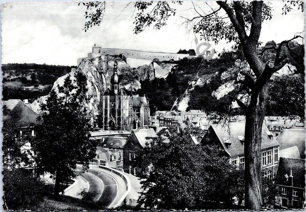 Dinant - "Panorama" - Panorama urbain avec citadelle et collégiale