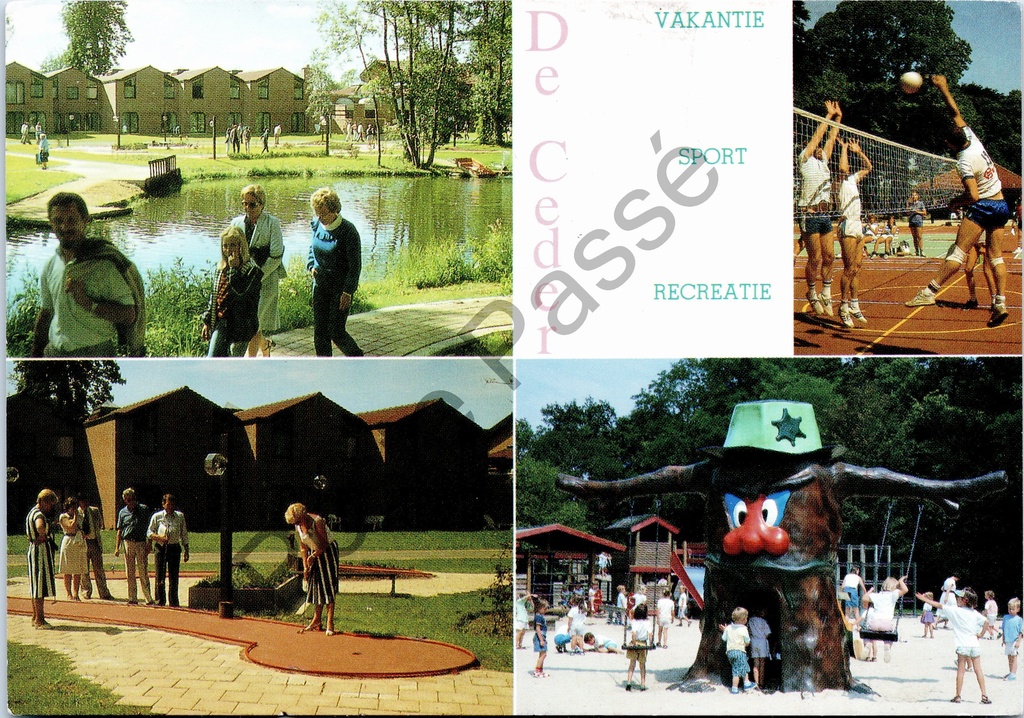 [Deinze1 (27)] Stekene - "De Ceder - Vakantie Sport Recreatie" - Vakantiepark De Ceder
