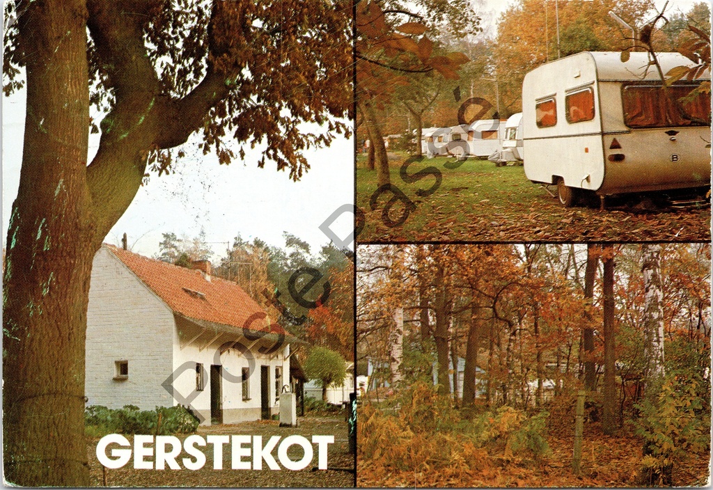 Waasmunster - "Gerstekot" - Camping met caravans en boslandschap