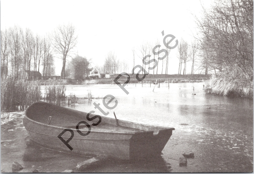 [Beveren-Kruibeke-Zwijndrecht0190.jpg] Kieldrecht - "Kleine Weel" - Winterlandschap met roeiboot op bevroren plas