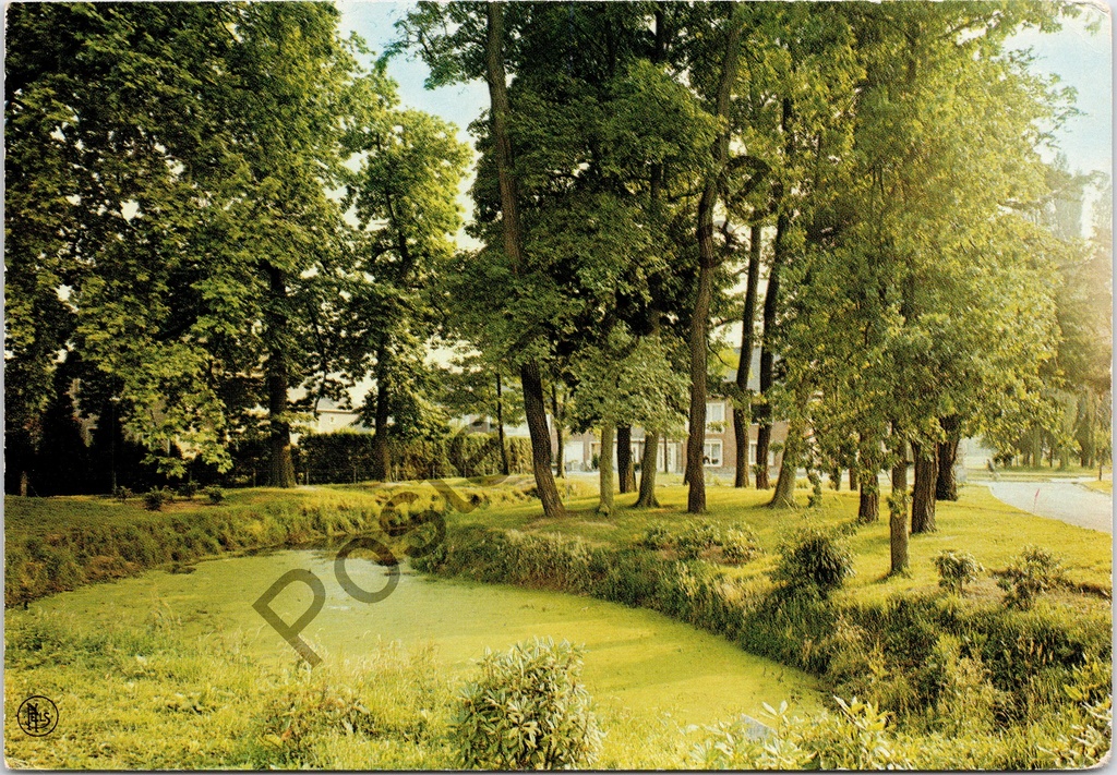 [Beveren-Kruibeke-Zwijndrecht0200.jpg] Beveren-Waas - "Wijk Bosdam" - Zicht op de groene wijk Bosdam met vijver en bomen