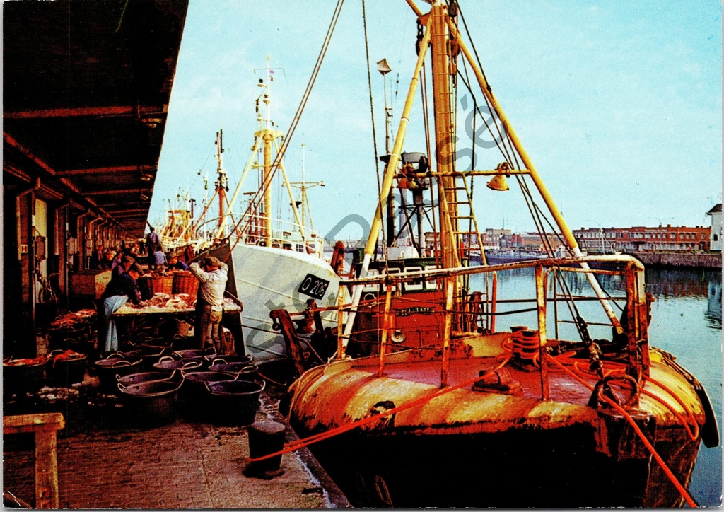 [Oostende0404.jpg] Oostende - "Vissershaven" - Lossen van de vangst aan de vismijn met trawlers
