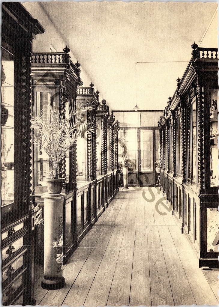 [Aalst0294.jpg] Aalst - "Instituut St-Vincentius à Paulo - Normaalschool - Museum" - Museumzaal van het Sint-Vincentiusinstituut in Gijzegem
