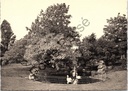 Aalst - "Instituut St-Vincentius à Paulo" - Park met fontein en zwanen in Gijzegem