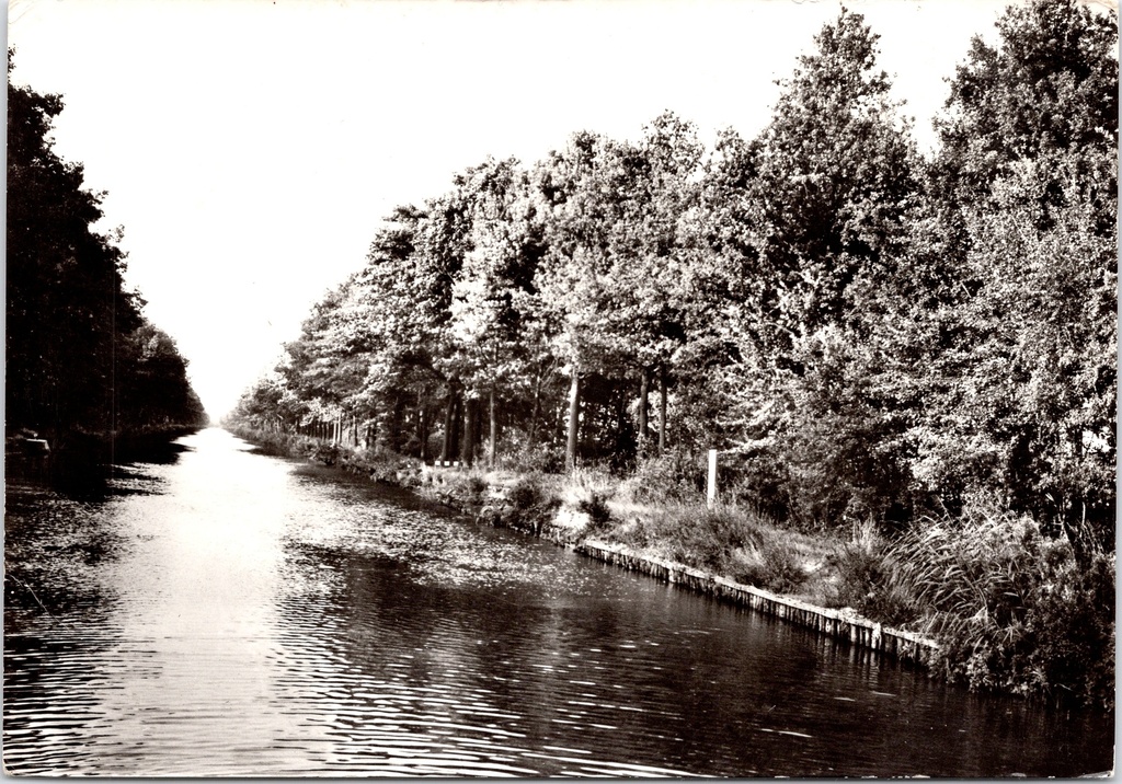 [Postel0839] Retie - « Postel ter Heyde » - Canal traversant un paysage boisé près d’un centre de réadaptation
