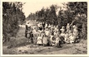Ravels - « Notre-Dame de la Campine » - École en plein air pour filles fragiles, allée dans le parc