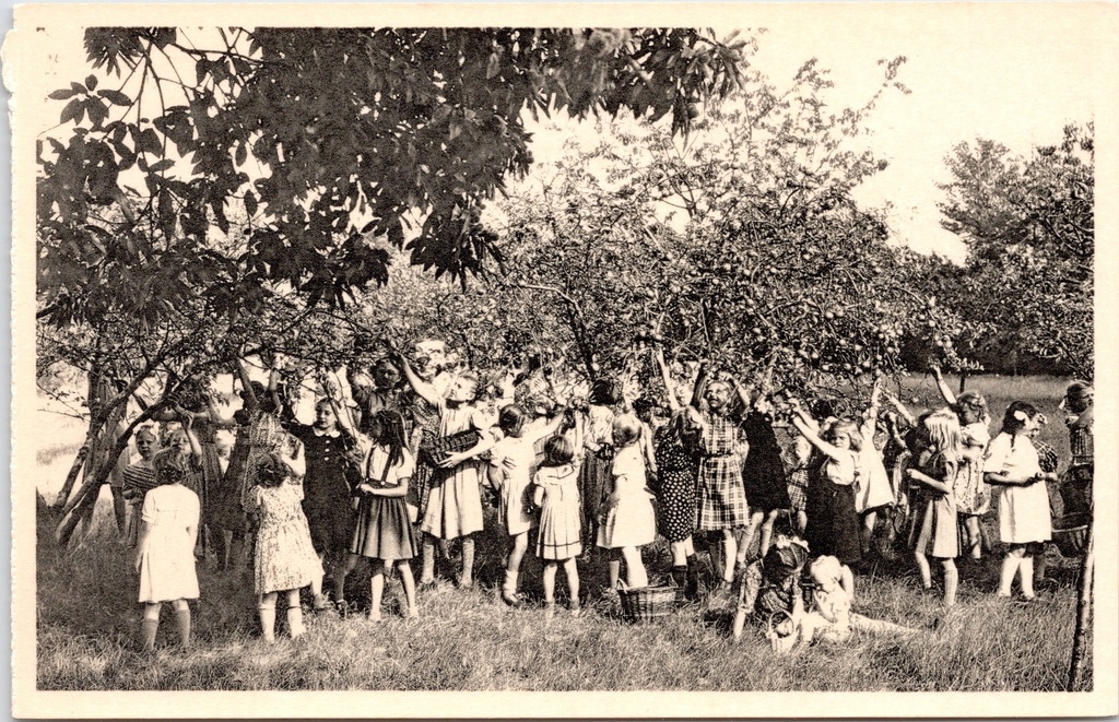 [Ravels0913] Ravels - « Notre-Dame de la Campine » - École en plein air pour filles, cueillette de fruits dans le verger