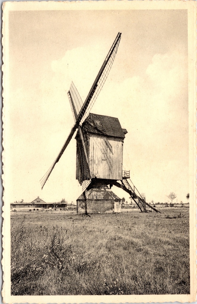 Dessel - "Oude Molen" - Historische houten standerdmolen