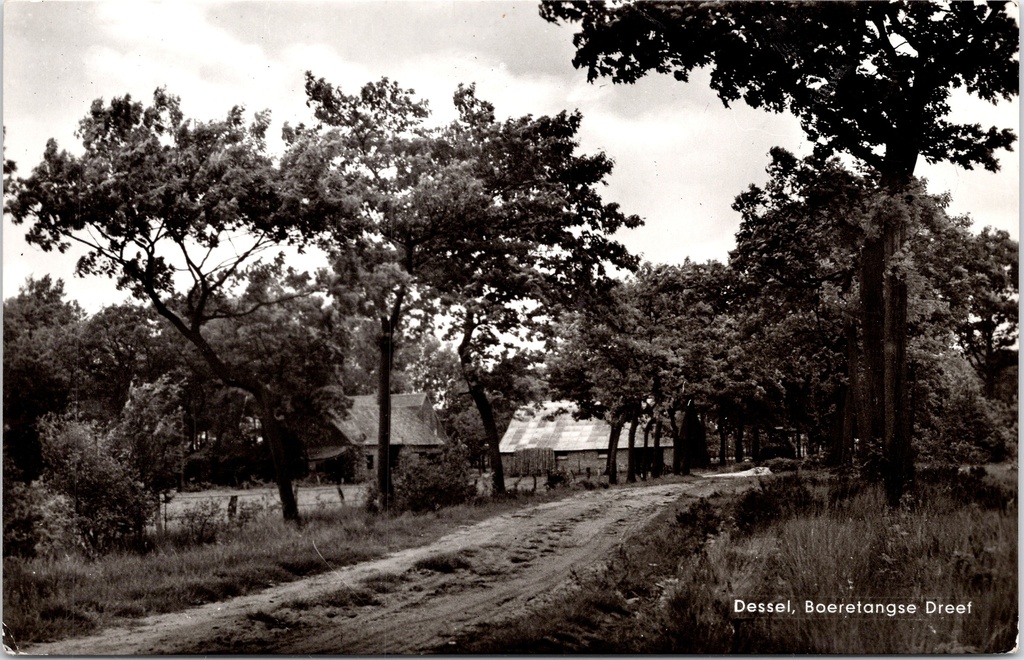 Dessel – “Boeretangse Dreef” – Country lane with farms and trees