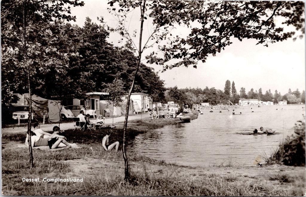 Dessel - "Campinastrand" - Zwembad en camping aan het Campinastrand