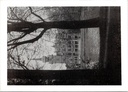 Retie – “Levenslust Castle” – Levenslust Castle seen through the trees