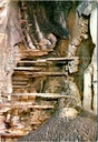 Rochefort - « Le Gour (nouvelles galeries) » - Stalactites dans les nouvelles galeries de Han-sur-Lesse