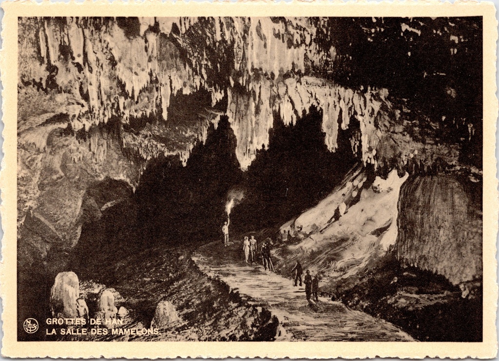 [Han-sur-lesse1271] Rochefort - « Grottes de Han - La Salle des Mamelons » - Grotte de Han, la Salle des Mamelons