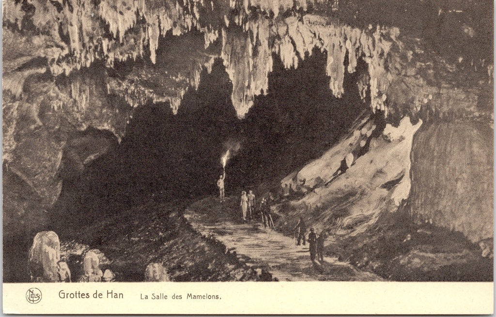 [Han-sur-lesse1281] Rochefort – ‘Grottes de Han – La Salle des Mamelons’ – Grottes de Han, la Salle des Mamelons