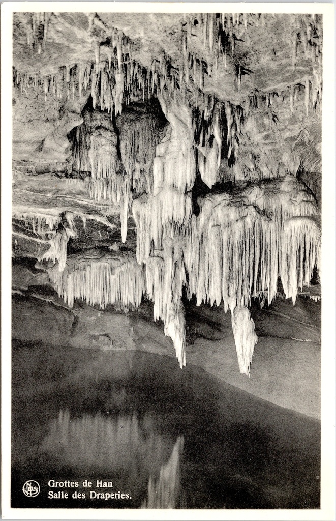 [Rochefort1411] Rochefort - « Grottes de Han - Salle des Draperies » - Grottes de Han, Salle des Draperies avec stalactites