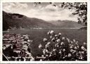 Cannobio (Italië) - "Lago Maggiore - Cannobio - Panorama" - Panoramisch uitzicht op het Lago Maggiore met bloesem op de voorgrond