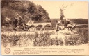 Habay - "La Cascade de l'Etang du château de la Trapperie" - Waterval van de vijver van het kasteel de Trapperie