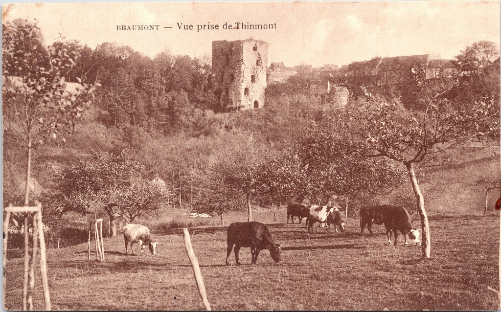 [B1793] Beaumont - "Vue prise de Thinmont" - Zicht op de kasteelruïnes vanuit Thinmont met grazende koeien