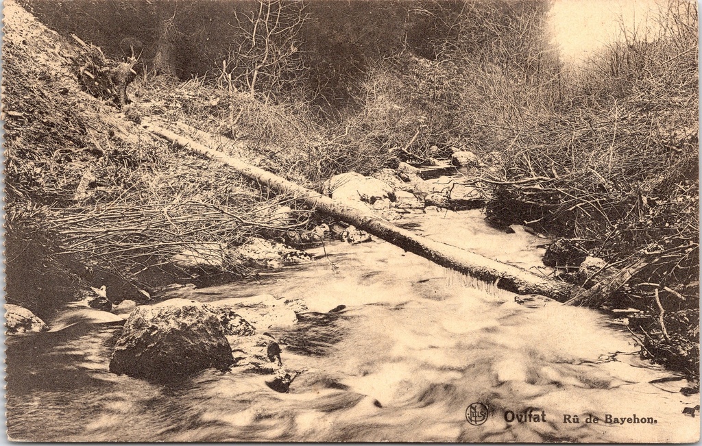 [B1851] Waimes - "Ovifat - Rû de Bayehon" - Beek de Bayehon met stroomversnelling en gevallen boom