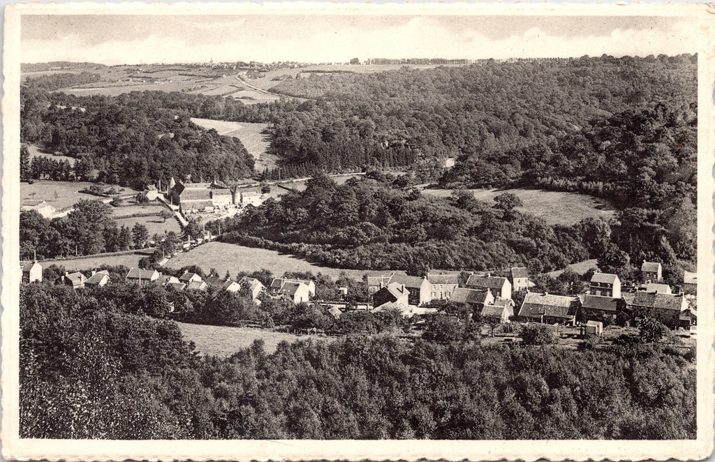 [D1731] Marchin - "Fond du Fourneau et Vallée du Hoyoux" - Panoramisch zicht op het Hoyoux-dal