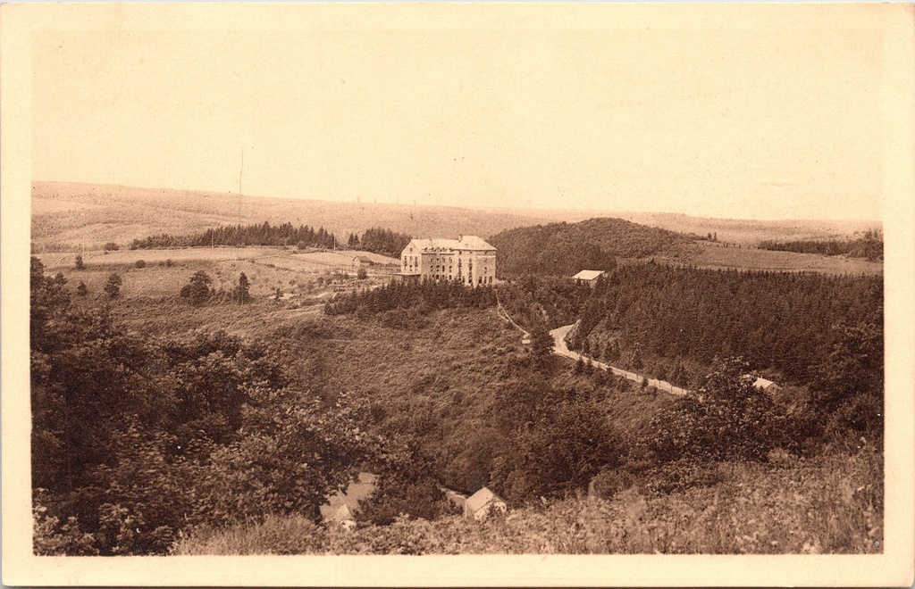 [D1739] Houffalize - "Les Bruyères" - Hotel Les Bruyères in heuvellandschap