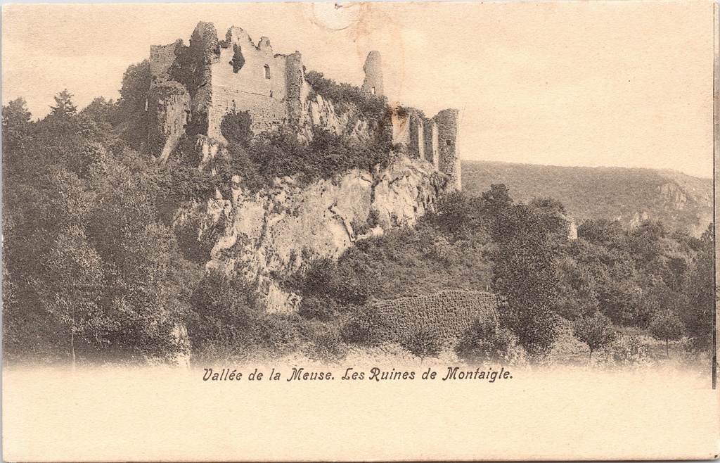 [D1757] Anhée - "Vallée de la Meuse. Les Ruines de Montaigle" - Ruïnes van kasteel Montaigle in de Maasvallei